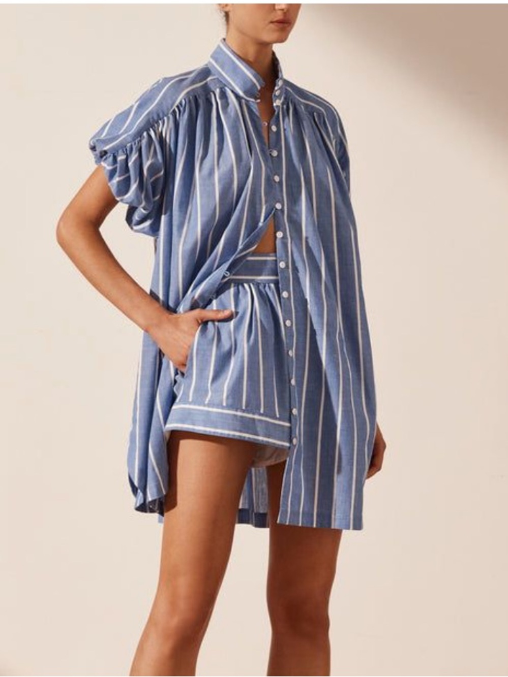 Shona Joy Blue and White Vertical Stripe Short Sleeve Button Shirt and shorts.